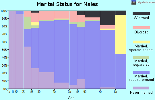 Lower Burrell marital status for males