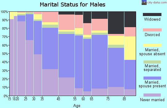 McKeesport marital status for males