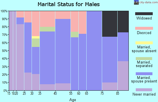 McSherrystown marital status for males
