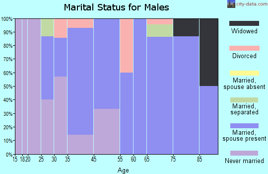 McVeytown marital status for males