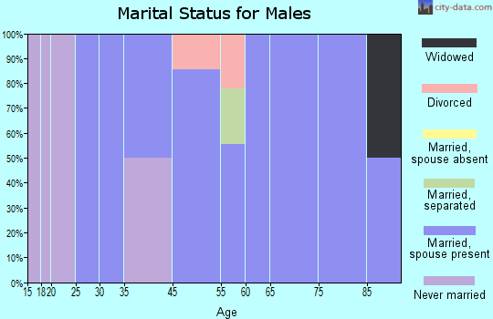Marklesburg marital status for males