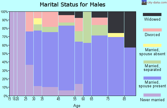 Masontown marital status for males