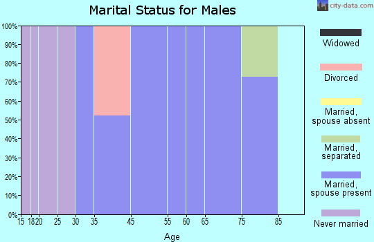 Mexico marital status for males