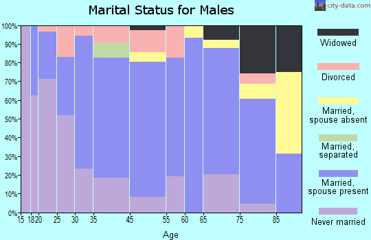 Meyersdale marital status for males