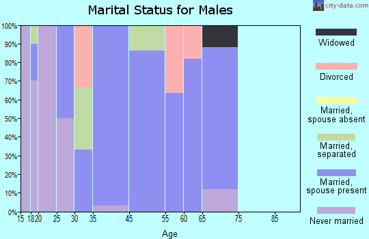 Mill Village marital status for males