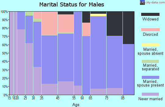 Minersville marital status for males