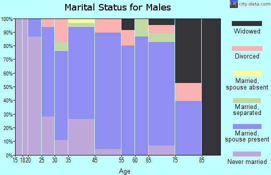 Mohnton marital status for males