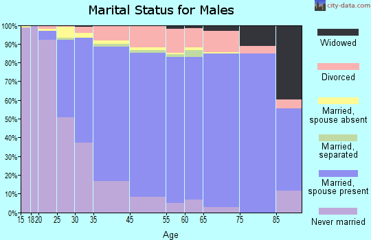 Foster City marital status for males