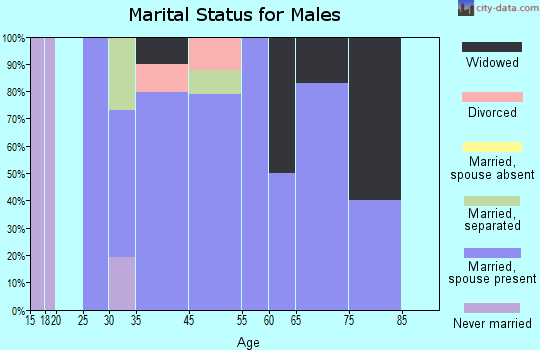 Mountainhome marital status for males