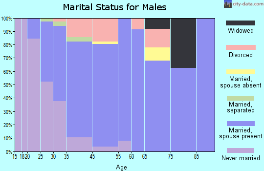 Mount Joy marital status for males
