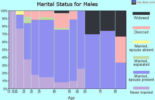 Mount Penn marital status for males