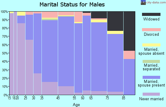Nether Providence Township marital status for males