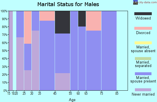 New Baltimore marital status for males