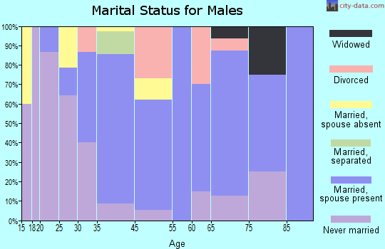 New Boston-Morea marital status for males