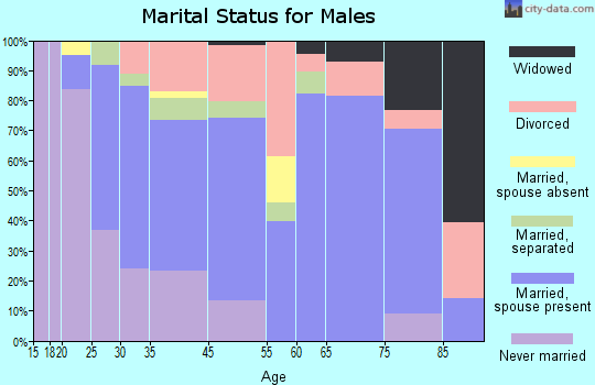 New Brighton marital status for males
