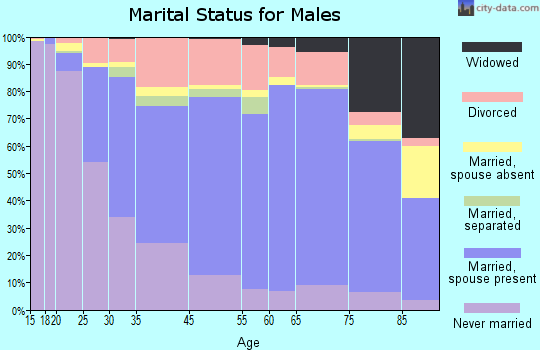 New Castle marital status for males