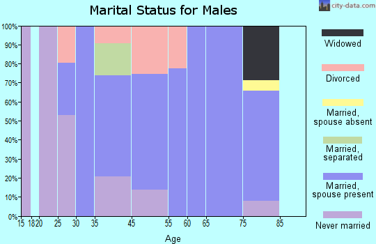 New Castle Northwest marital status for males