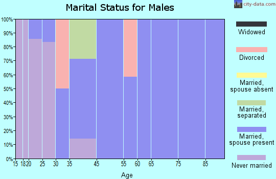 New Lebanon marital status for males
