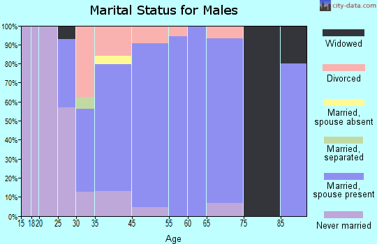 New Salem marital status for males