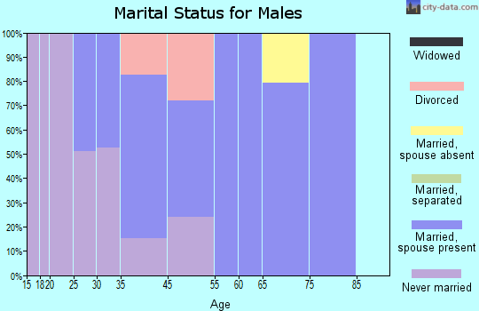 New Salem-Buffington marital status for males