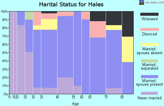 North Belle Vernon marital status for males