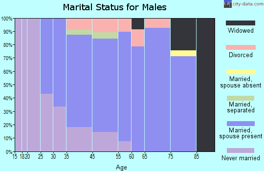North Catasauqua marital status for males