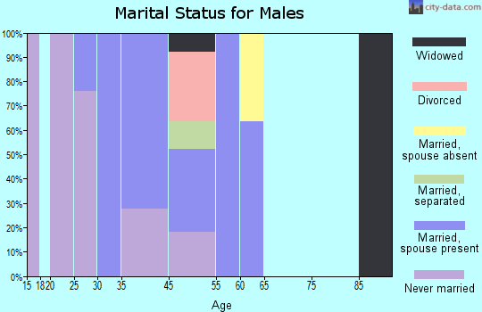 Fruitdale marital status for males