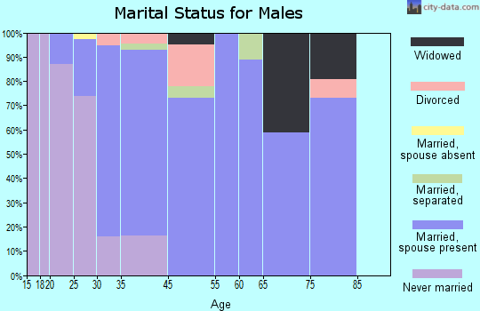 North Irwin marital status for males