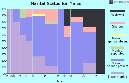 North Vandergrift-Pleasant View marital status for males