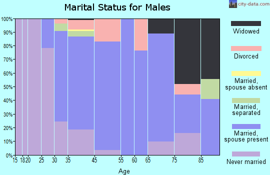 North Wales marital status for males