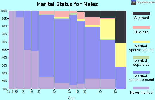 O'Hara Township marital status for males