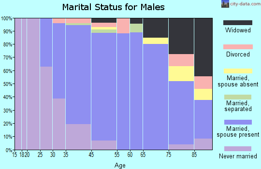 Palmer Heights marital status for males