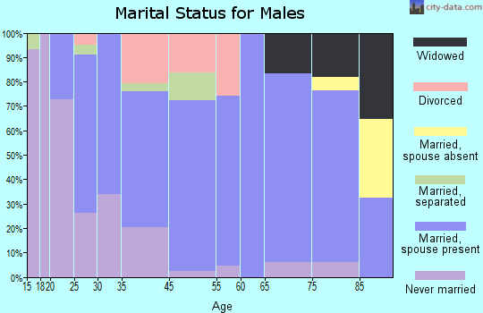 Palmerton marital status for males