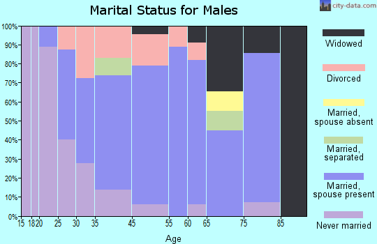 Palo Alto marital status for males