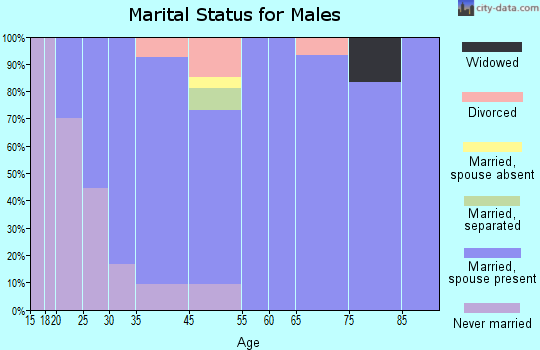 Patterson Heights marital status for males