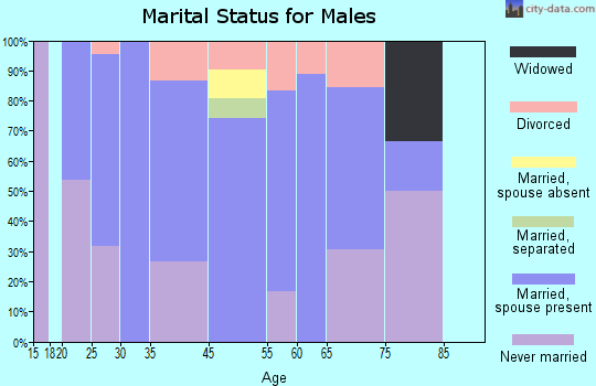 Petersburg marital status for males