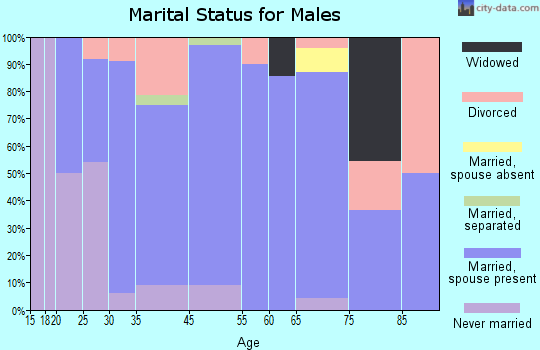Picture Rocks marital status for males