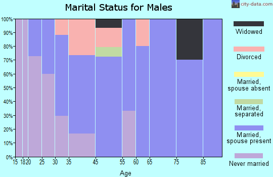 Pillow marital status for males