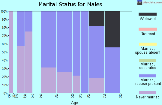 Pine Grove Mills marital status for males