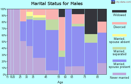 Pitcairn marital status for males