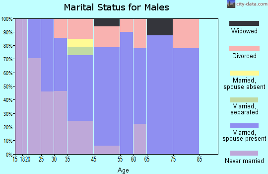 Port Matilda marital status for males