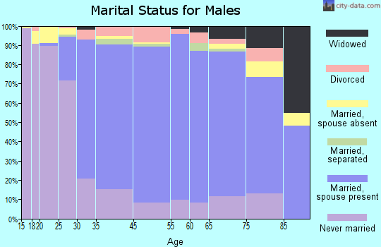 Radnor Township marital status for males