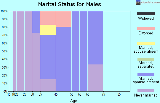 Renningers marital status for males