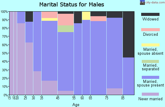 Ringtown marital status for males