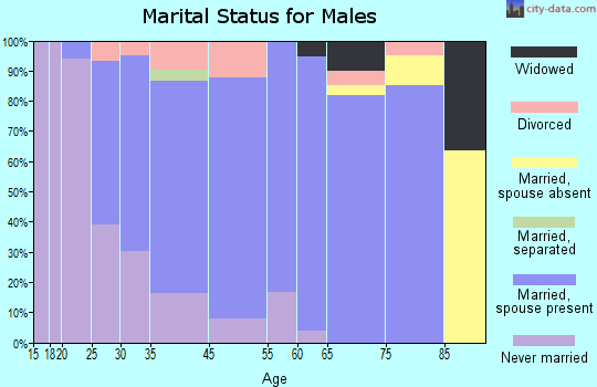 Roaring Spring marital status for males