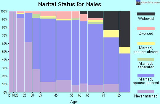 Robinson Township marital status for males