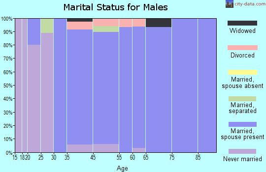 Rose Valley marital status for males