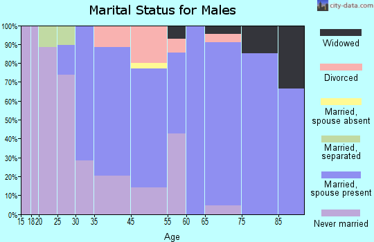 Rural Valley marital status for males