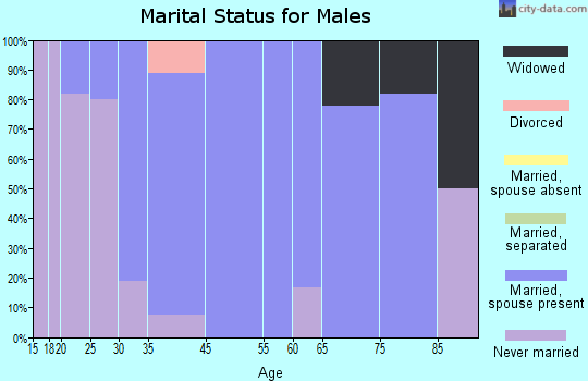 Saltillo marital status for males