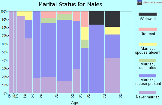 Sankertown marital status for males